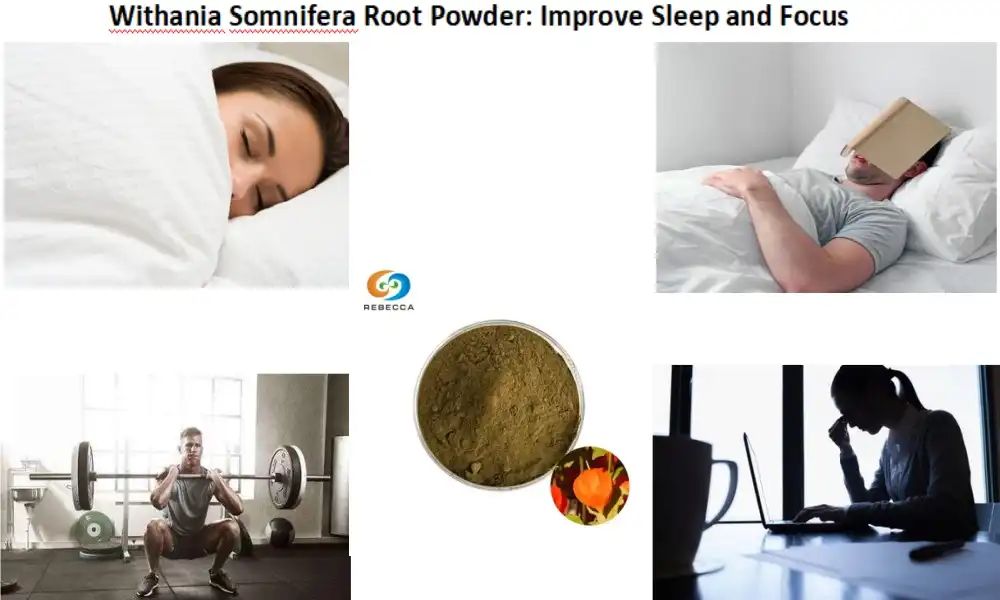 Withania Somnifera Root Powder: Improve Sleep and Focus